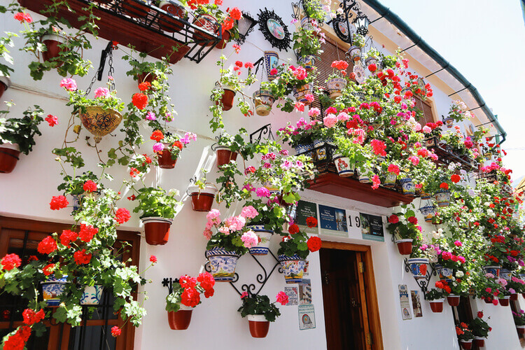 Qué ver en Priego de Córdoba en 2 días (Guía completa 2026)